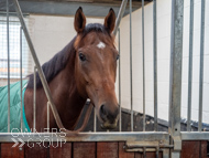 HC240925-104 - Rousham